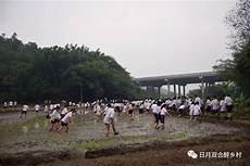 上山下乡的原因